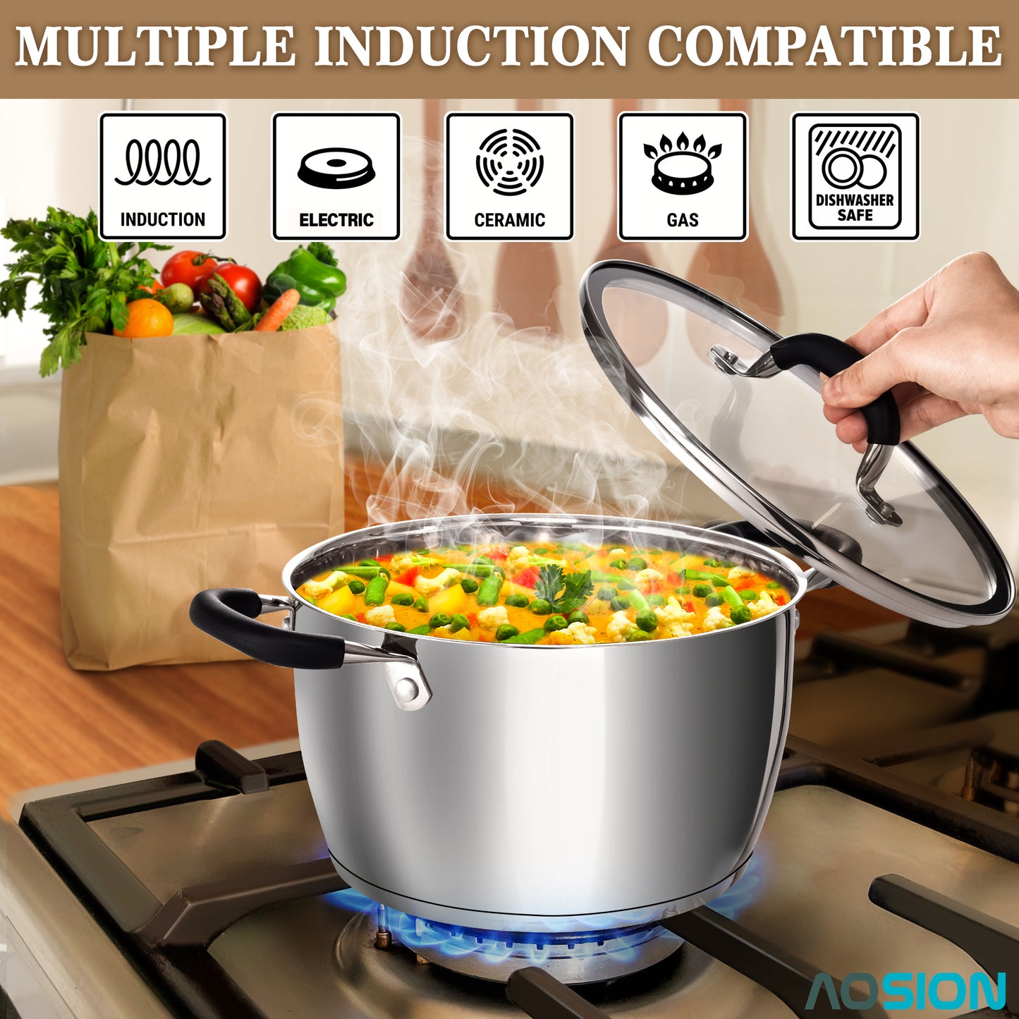 AOSION 6 Quart Pot, Stainless Steel Stock Pot with Glass Lid