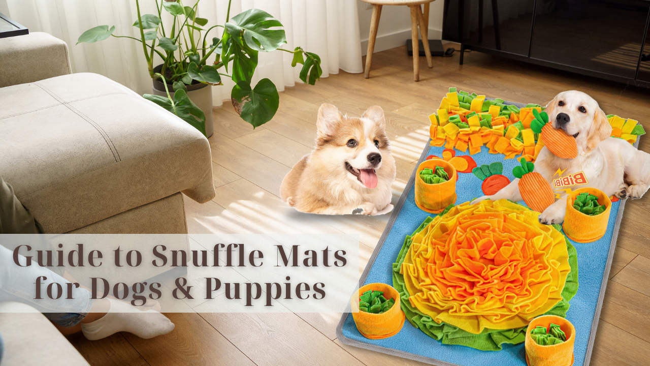 Guide to Snuffle Mats for Dogs & Puppies: Everything You Need to Know ...